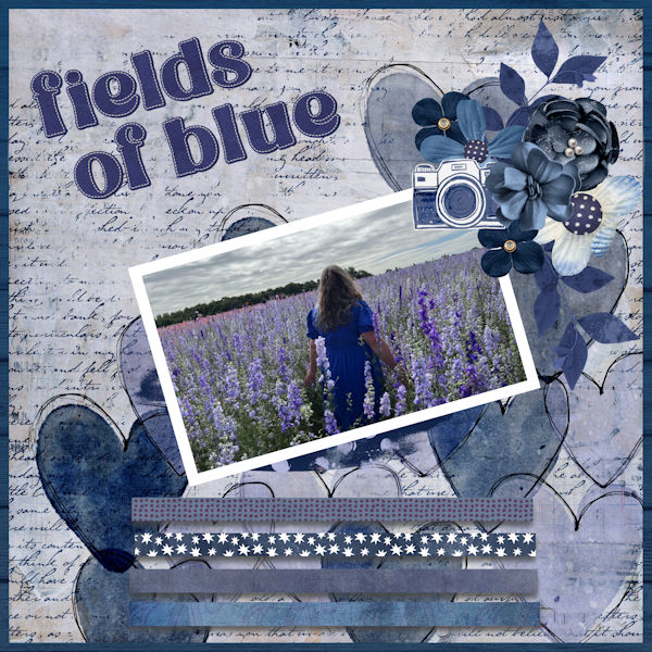 Fields of Blue