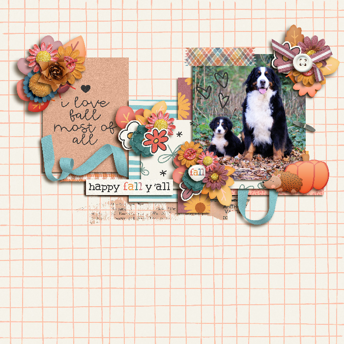 Find me in Fall
