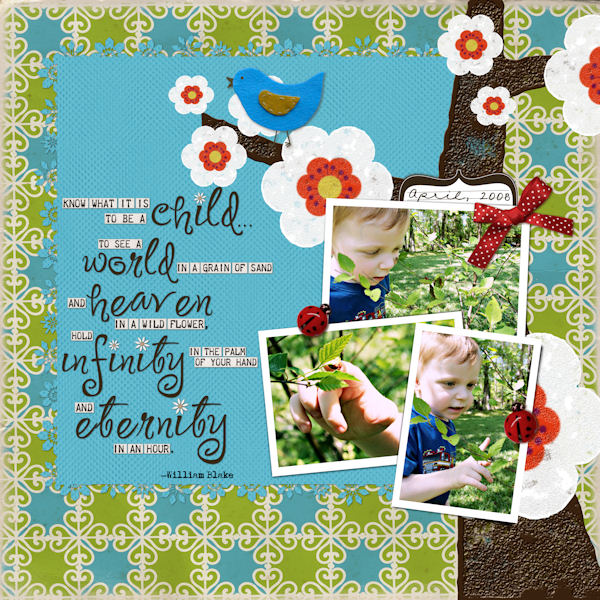 Finding Ladybugs