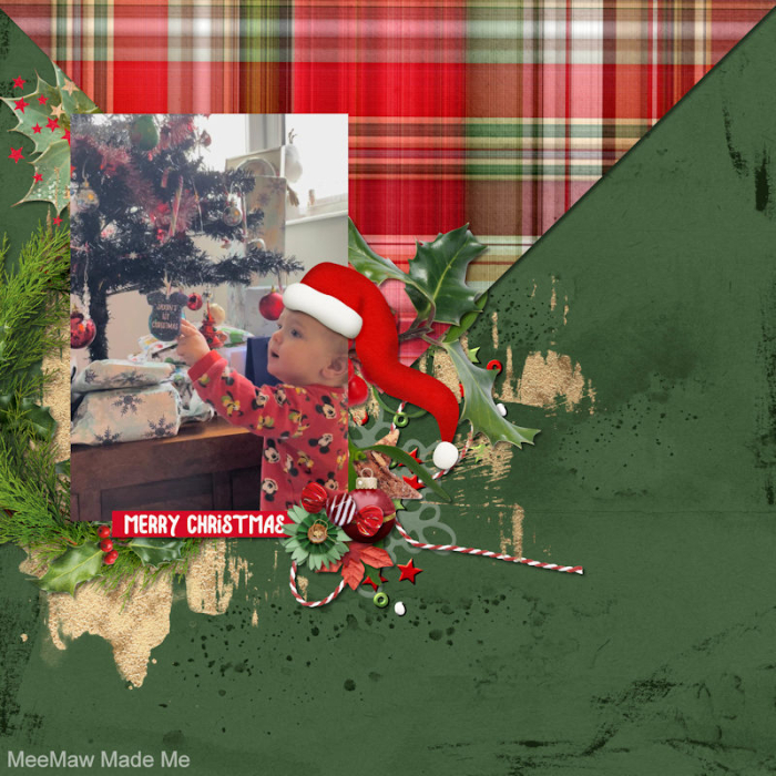 Finding The Tree