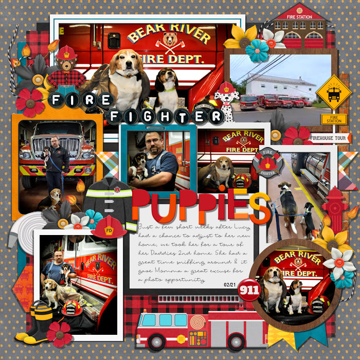Fire Fighter Puppies