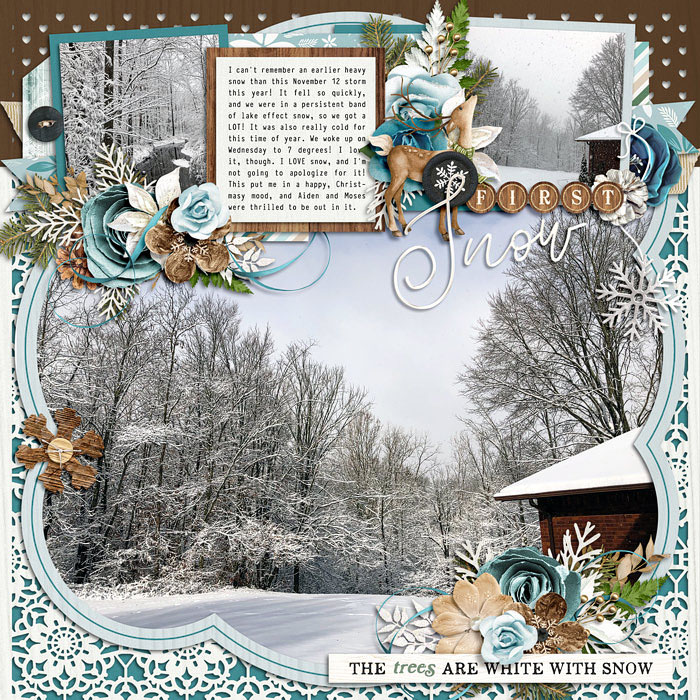 First Snow