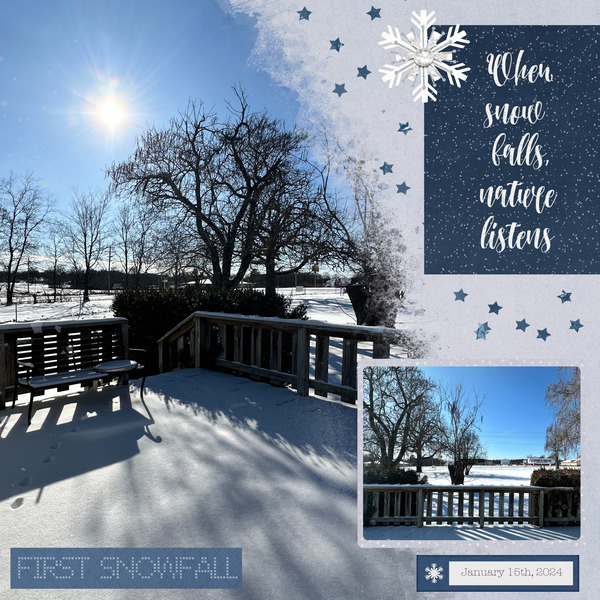 First Snowfall Of 2024