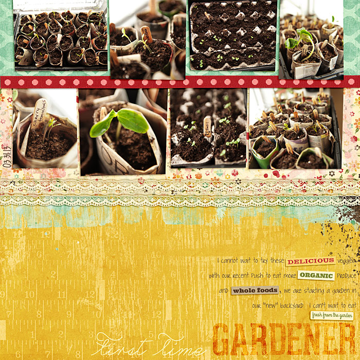 First Time Gardener