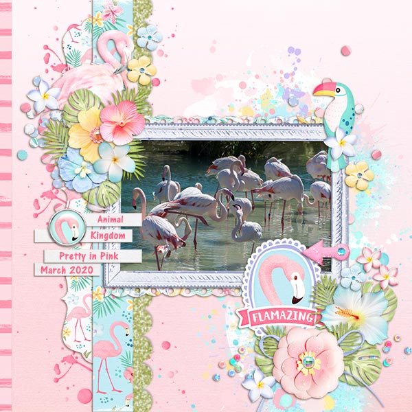 Flamazing Flamingos