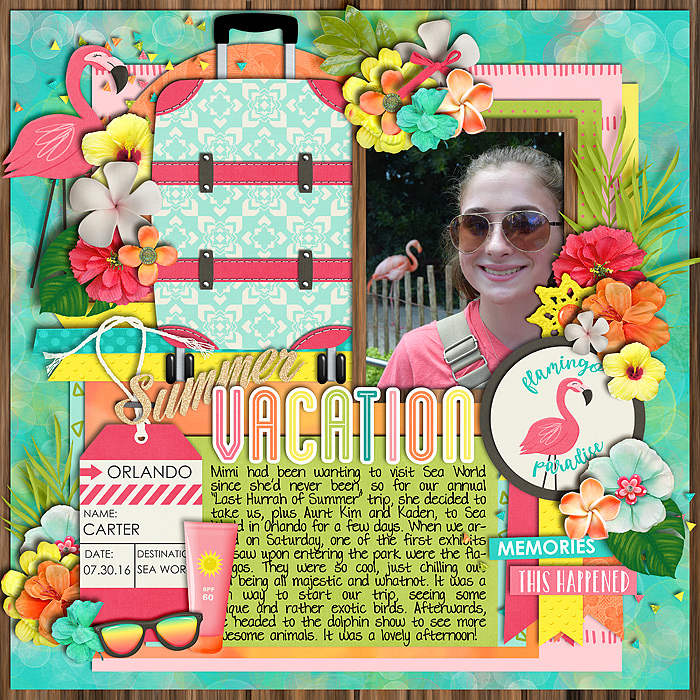 Flamingo Paradise