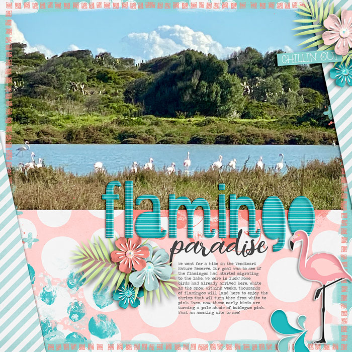 ~Flamingo Paradise~