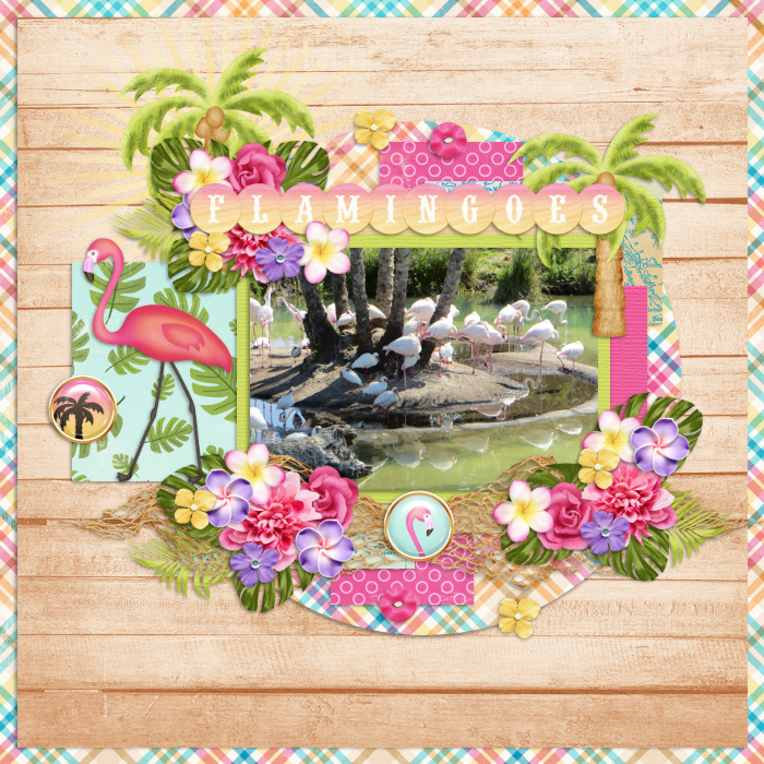 Flamingoes