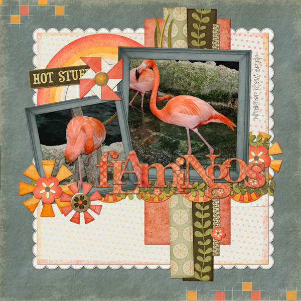 flamingos