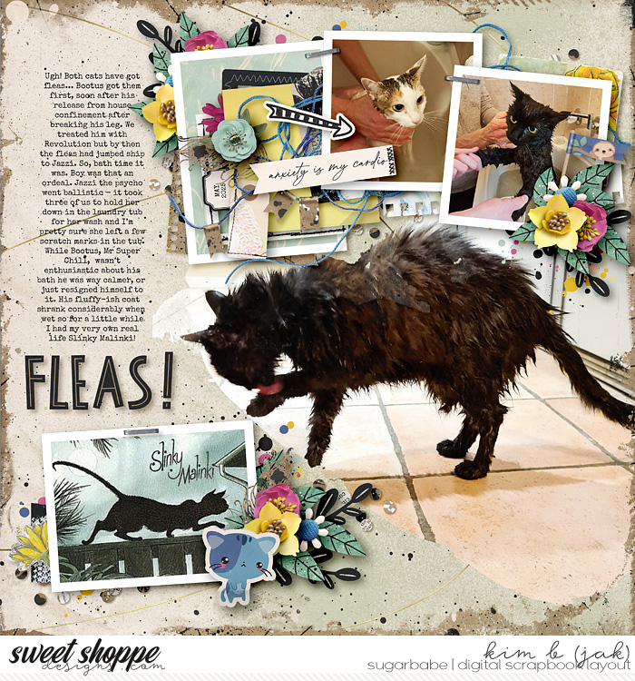 Fleas!
