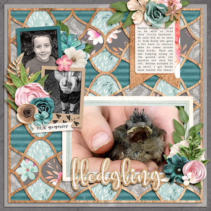 Fledgling
