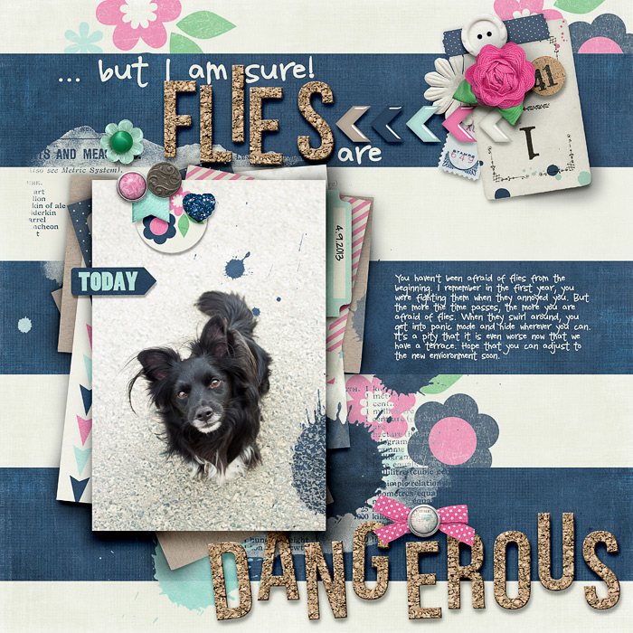Flies are dangerous
