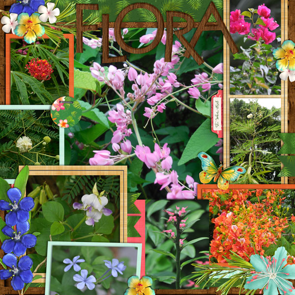 Flora of St John
