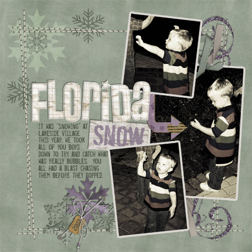 Florida Snow
