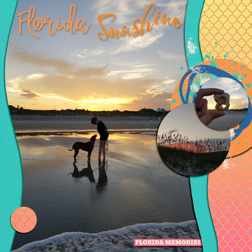 Florida Sunshine