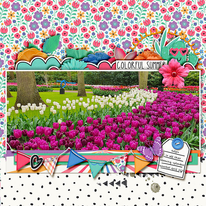 Flower field