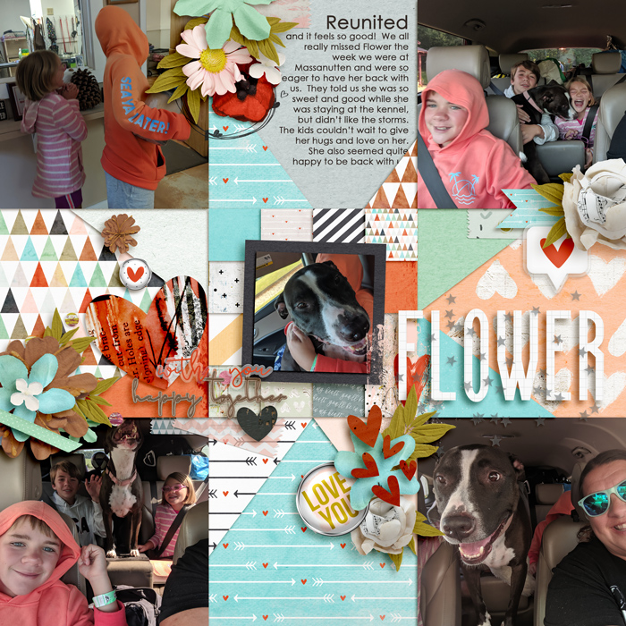 Flower