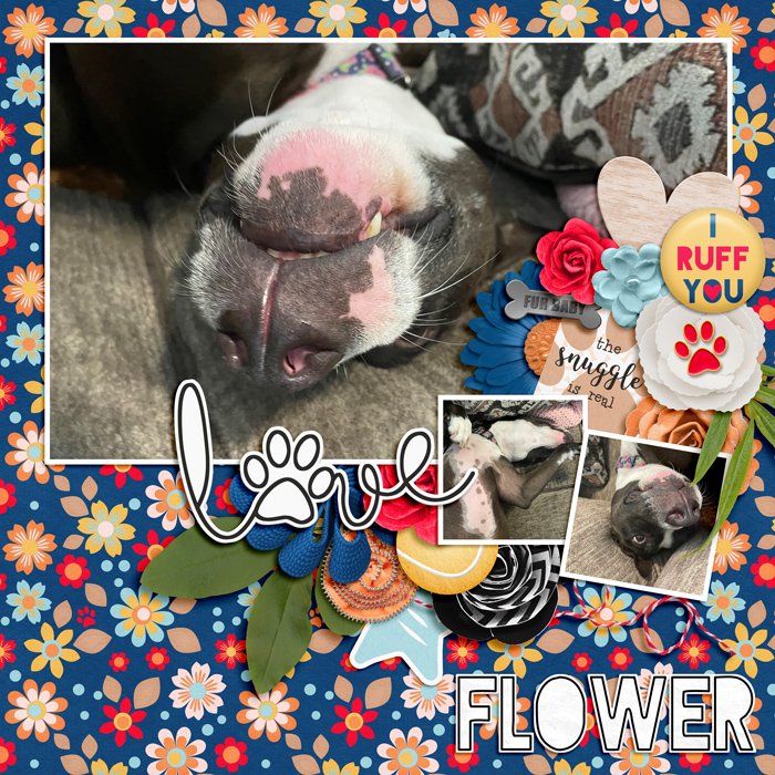 Flower
