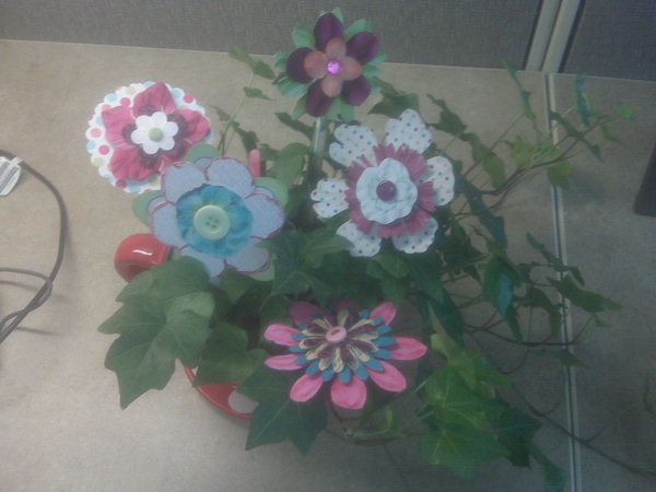 Flowers Ablooming