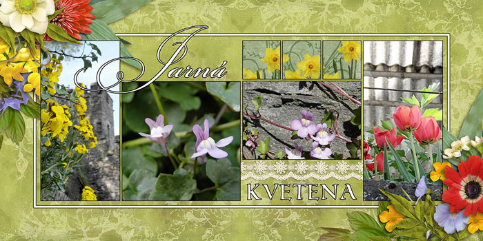 Flowers, flowers