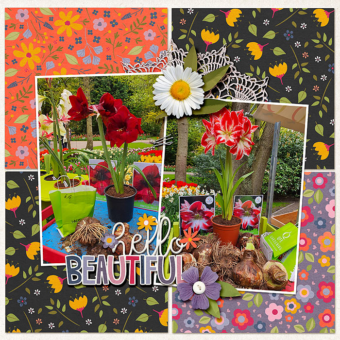 Flowers for sale