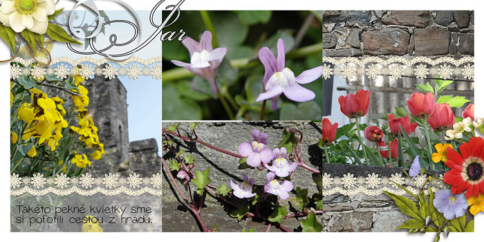 Flowers in Cochem