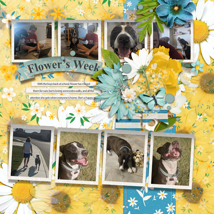 Flower's Week