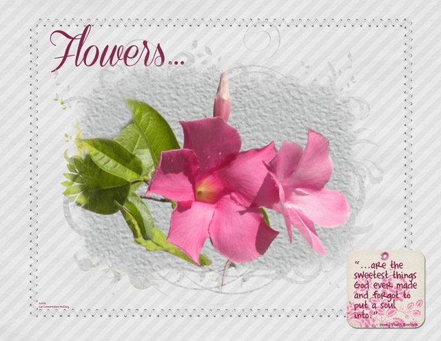 Flowers...