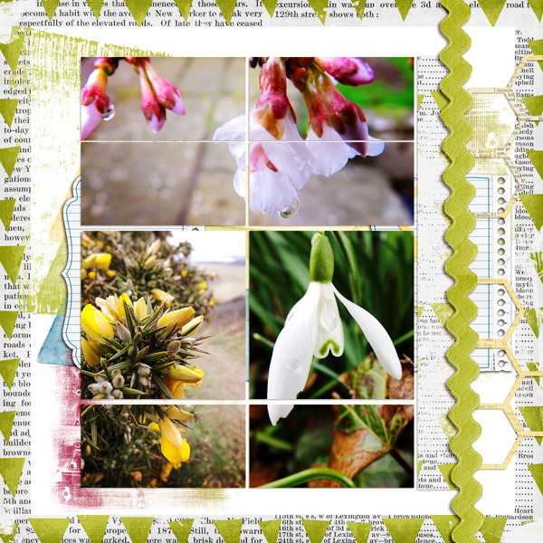 flowers