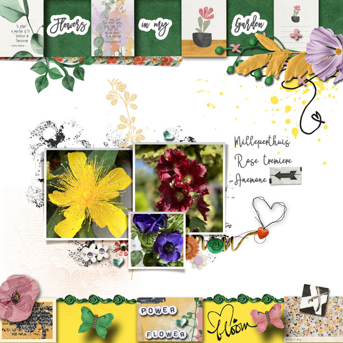 flowers