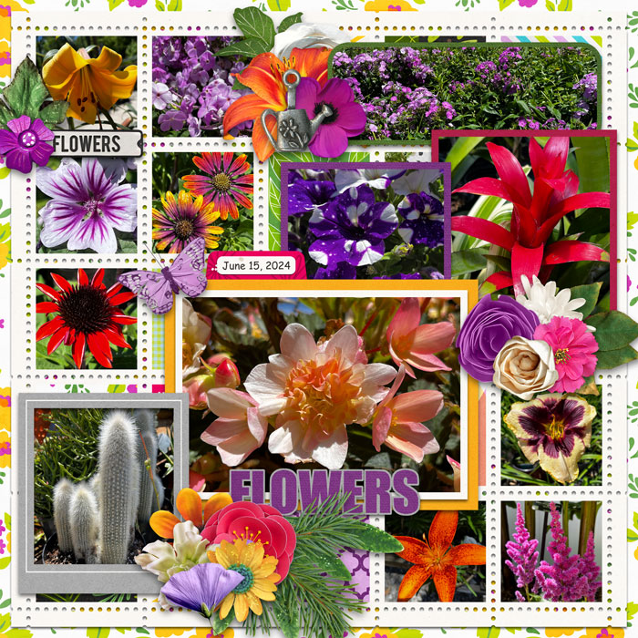 Flowers