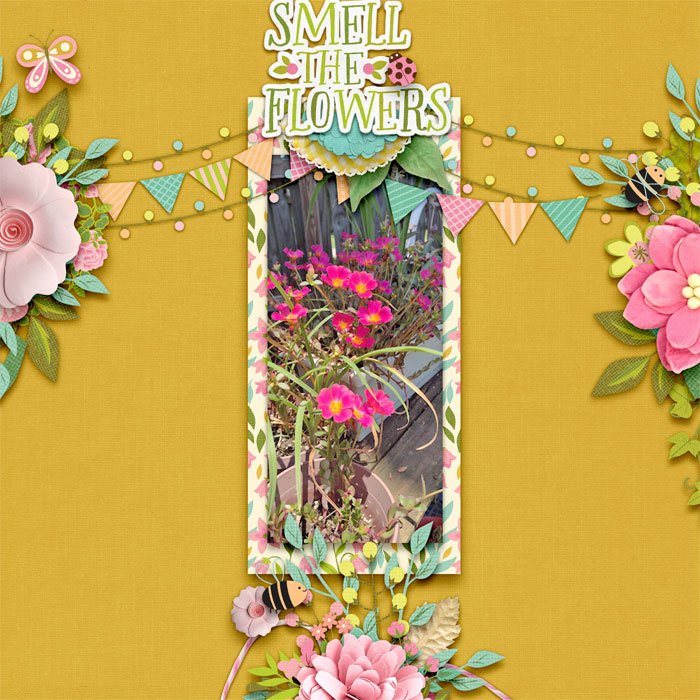 flowers