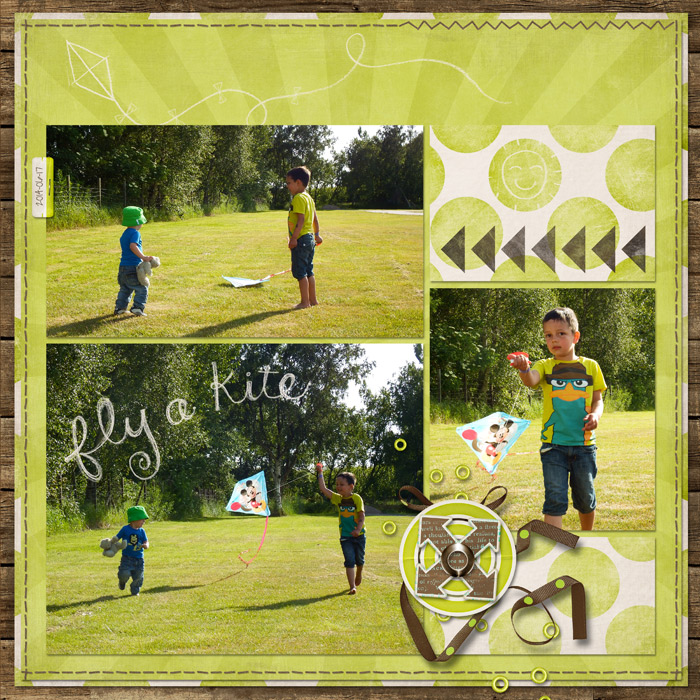 fly a kite