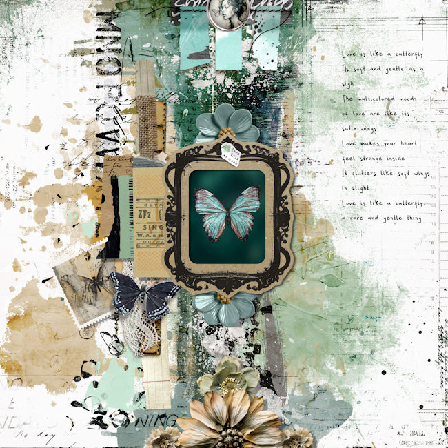 Fly Fly Butterfly