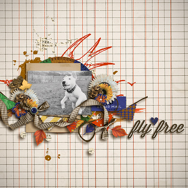 Fly Free