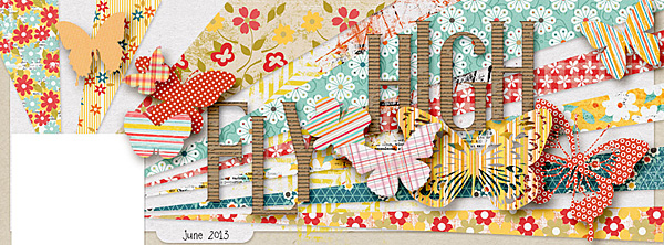 Fly High (FB Cover)