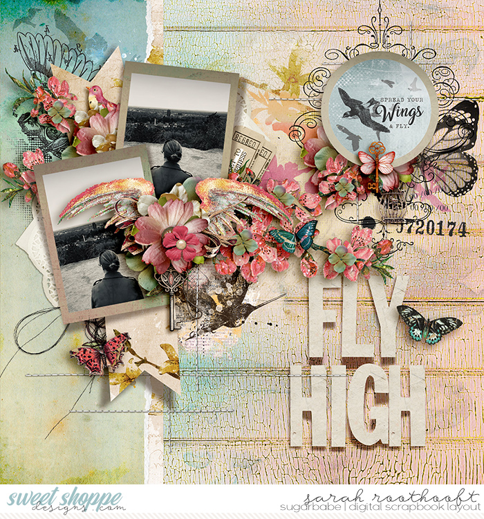 Fly High