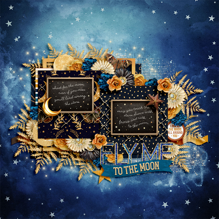 Fly Me To The Moon
