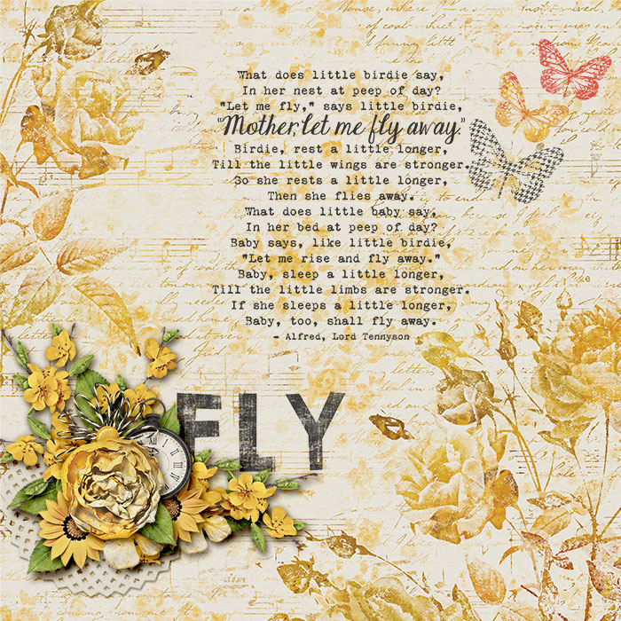 Fly