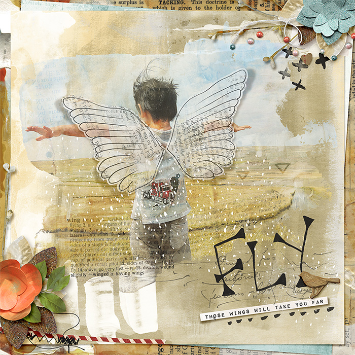 Fly