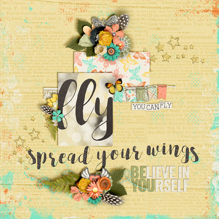 Fly