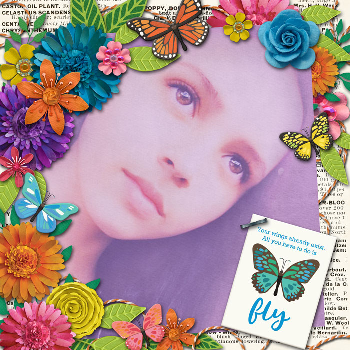 Fly