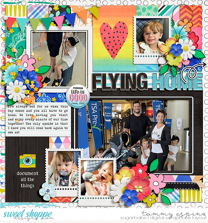 flying home