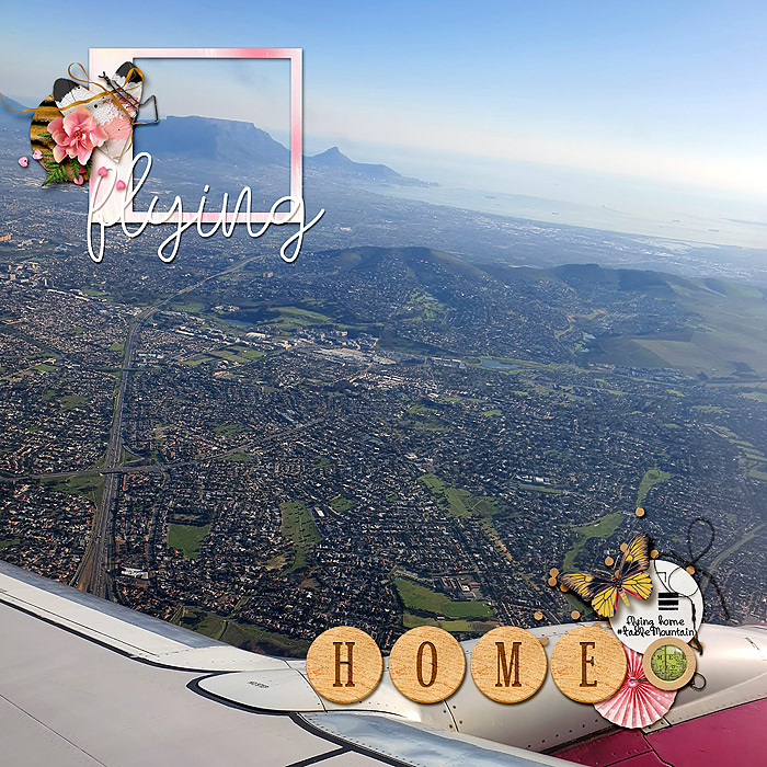 Flying home