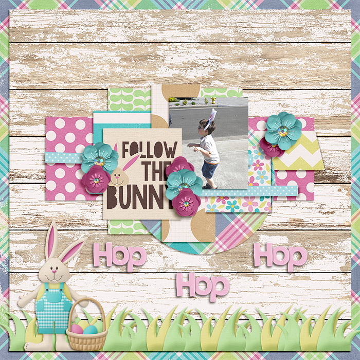 Follow the Bunny