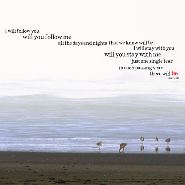 Follow You, Follow Me