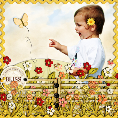 Follow your bliss
