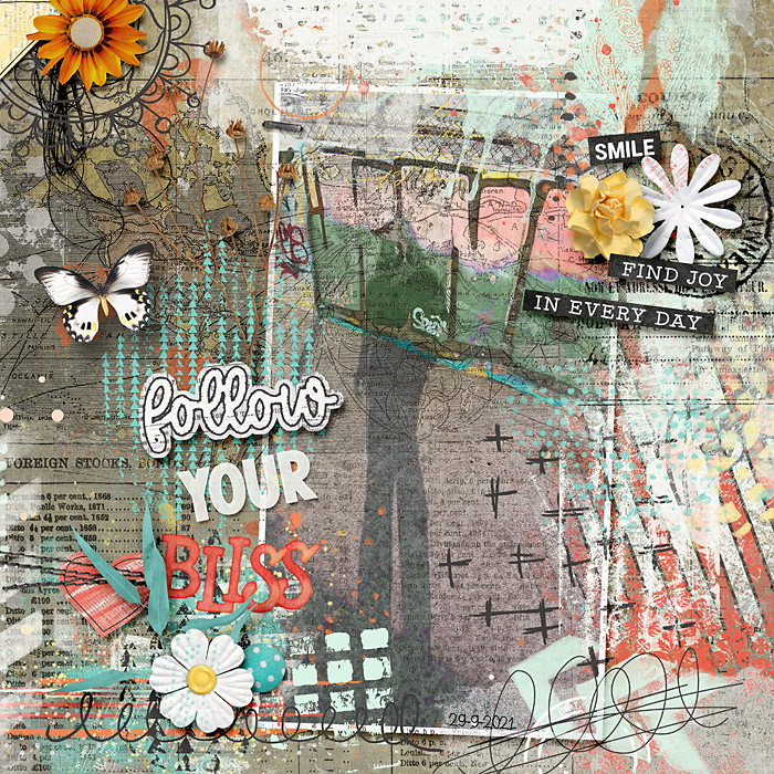 Follow Your Bliss