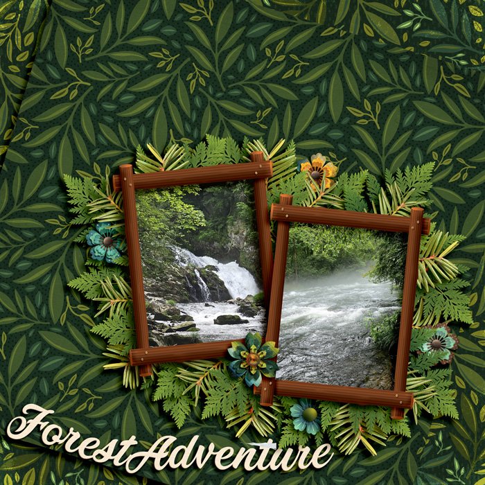 Forest Adventure