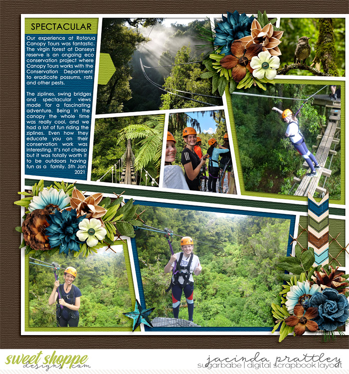Forest Adventures 1